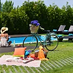 Solar Egas Moniz-charming House & Local Experiences 別荘