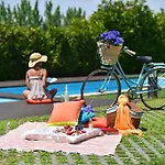 Solar Egas Moniz-charming House & Local Experiences
