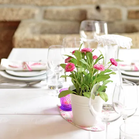 Solar Egas Moniz-charming House & Local Experiences