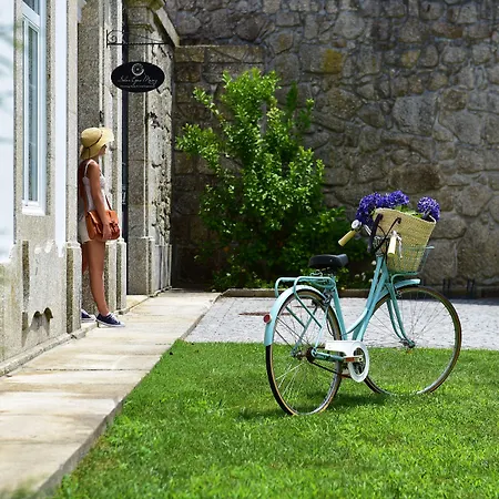 Solar Egas Moniz-charming House & Local Experiences * Paço de Sousa