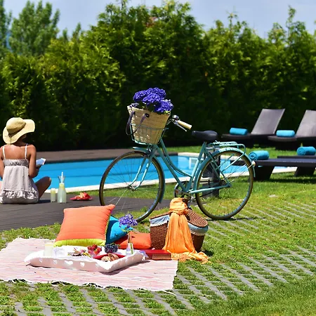 Solar Egas Moniz-charming House & Local Experiences Vakantiehuis