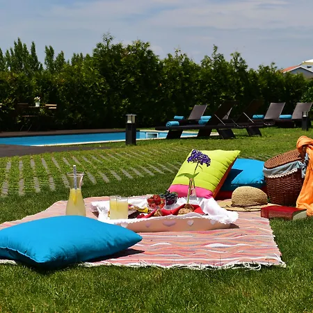 Solar Egas Moniz-charming House & Local Experiences *