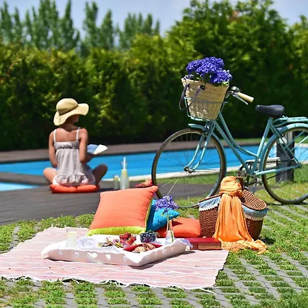 Solar Egas Moniz-charming House & Local Experiences