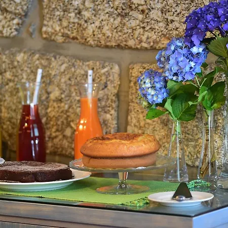 Solar Egas Moniz-charming House & Local Experiences