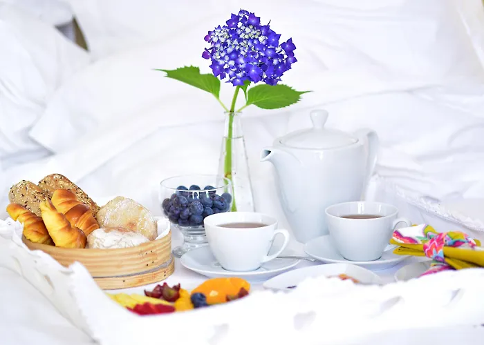 Solar Egas Moniz-charming House & Local Experiences *