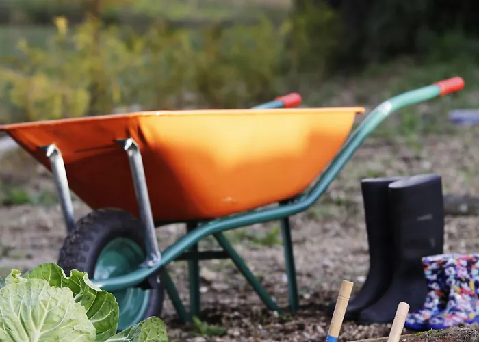 Solar Egas Moniz-charming House & Local Experiences Hébergement de vacances Paço de Sousa