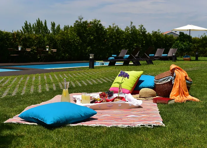 Solar Egas Moniz-charming House & Local Experiences *