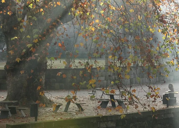 Nyaraló Solar Egas Moniz-charming House & Local Experiences *