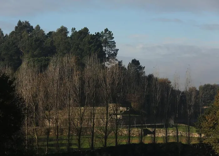 Solar Egas Moniz-charming House & Local Experiences